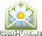 Логотип компании Доставка цветов Гранд Флора (ф-л г.Бологое)